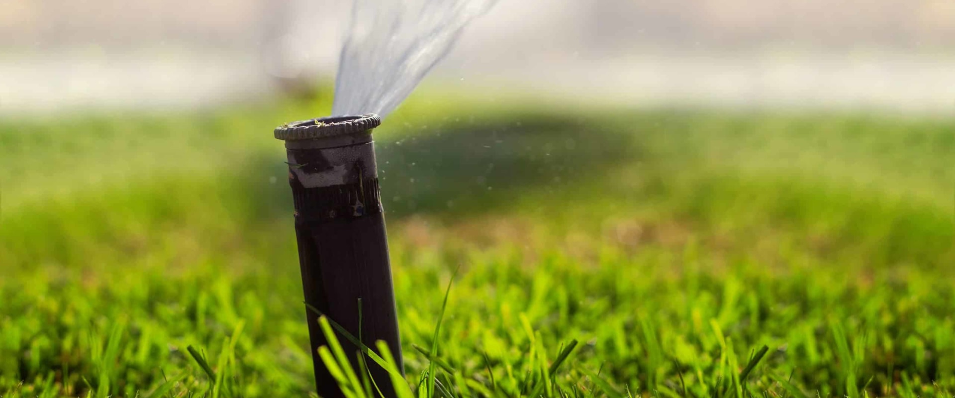 The Benefits of Automated Irrigation Scheduling for Efficient Management and Billing Processes