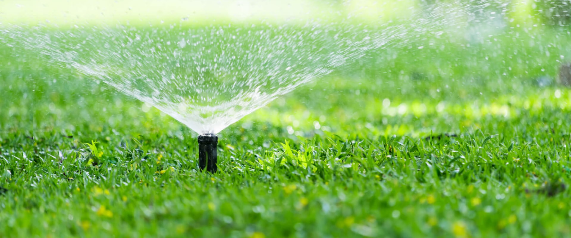 Troubleshooting Common Problems with Irrigation Software: A Comprehensive Guide to Efficient Management