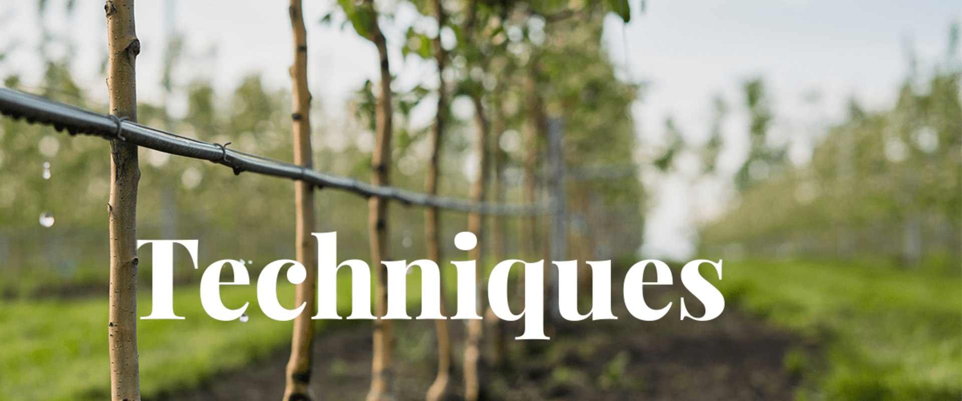 Water-Saving Recommendations for Efficient Irrigation Management