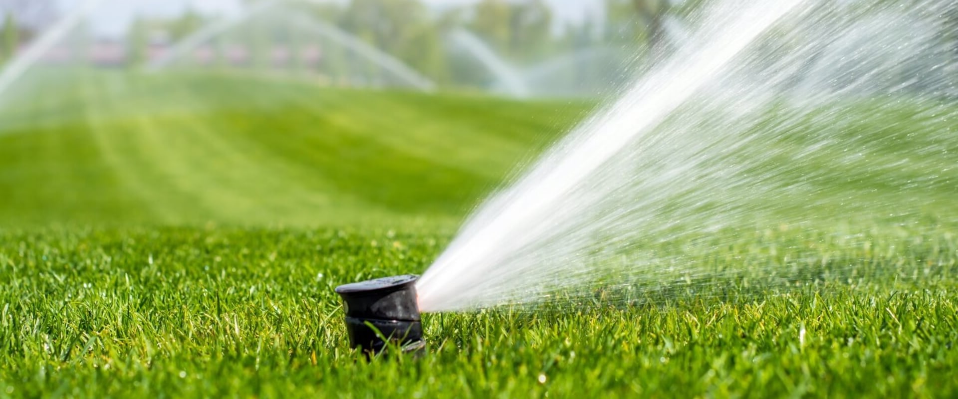 Online Webinars on Irrigation Software: Learn How to Manage Your Irrigation Systems and Billing Processes Efficiently