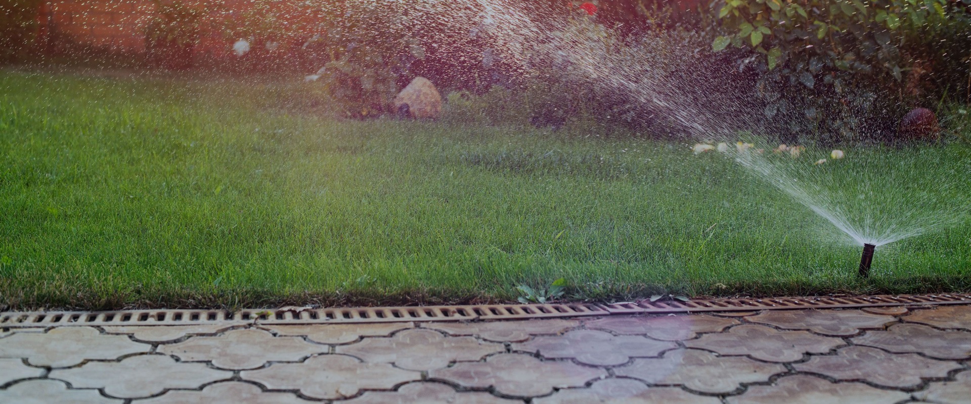 Irrigation Service Business Software