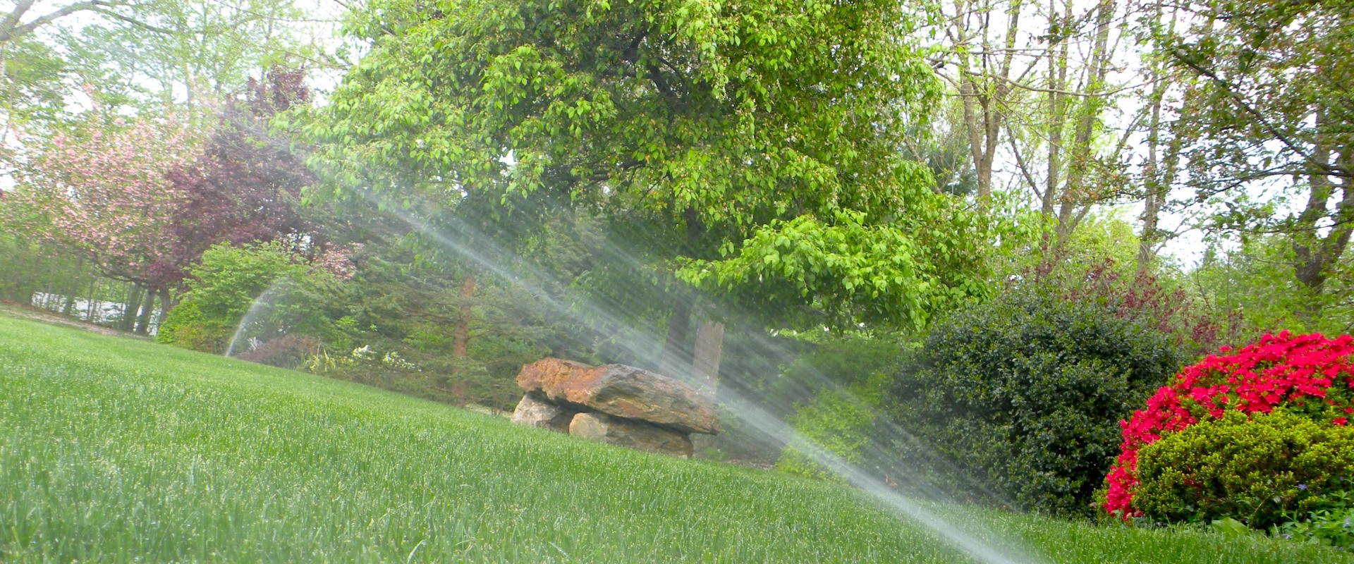 Irrigation Software Tutorials: A Comprehensive Guide to Efficiently Managing Your Irrigation System and Billing Processes