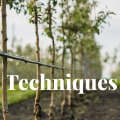 Water-Saving Recommendations for Efficient Irrigation Management