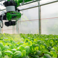 Irrigation System Optimization: How to Streamline Your Irrigation Management and Billing Processes
