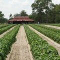 Maximizing Your Irrigation Management: Courses and Software Solutions