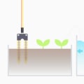 Step-by-Step Guides for Using Irrigation Software
