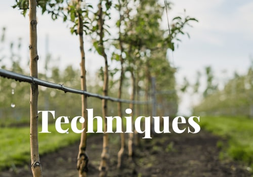 Water-Saving Recommendations for Efficient Irrigation Management