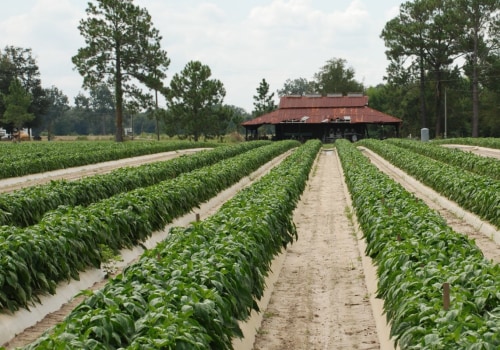 Maximizing Your Irrigation Management: Courses and Software Solutions