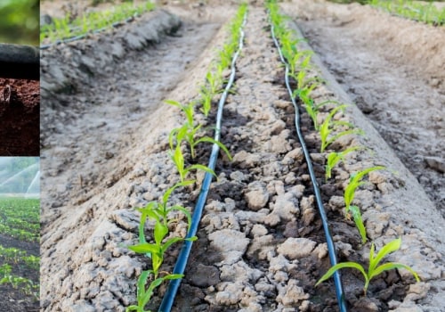 Maximizing Irrigation Efficiency with Soil Moisture-Based Scheduling